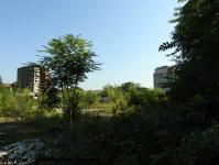 Imagine atasata: Mulberry Development Take Ionescu - 2016.08.21 - 06.jpg